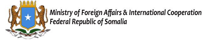 ministry-for-foreign-affairs-and-international-cooperation